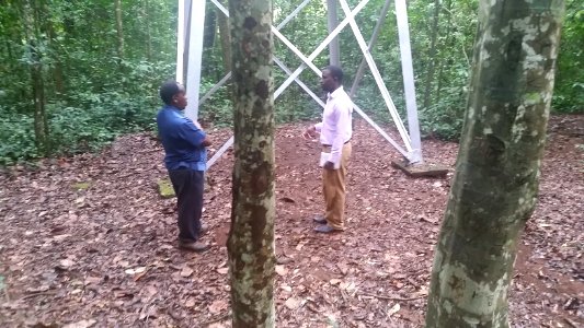 Uganda Virus Research Institute visit on 2 March 2018 - the forest 12