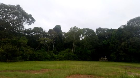 Uganda Virus Research Institute visit on 2 March 2018 - the forest 04