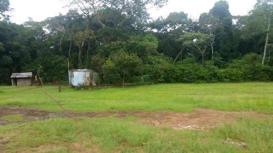 Uganda Virus Research Institute visit on 2 March 2018 - the forest 05
