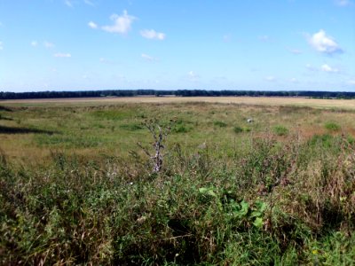Uenze Landschaft