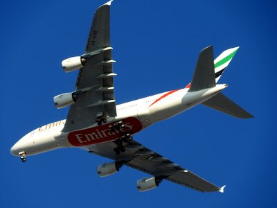 Trip flight travel