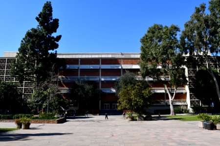 UCLA Henry Samueli School of Engineering and Applied Science