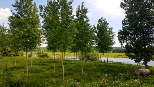 Uikhoven-Grenspaal 110B (BE-NL) (5)