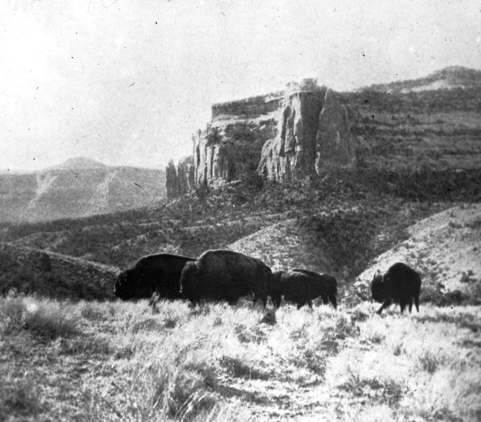 Uit Colorado , Bestanddeelnr 193-0110