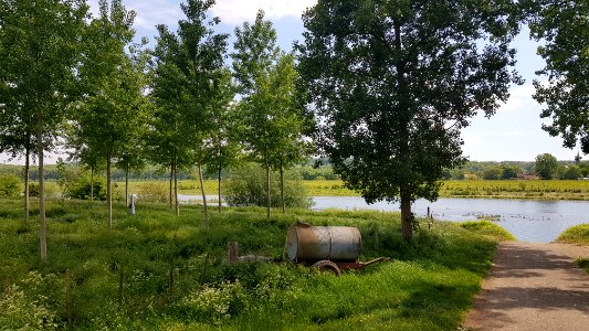 Uikhoven-Grenspaal 110B (BE-NL) (3)