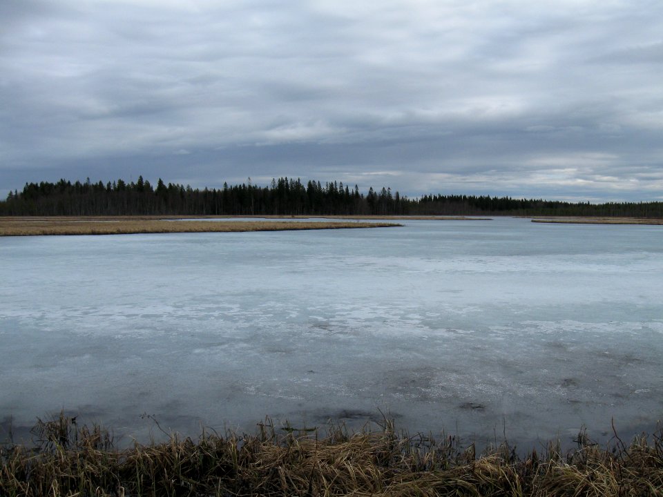 Uikulanjärvi