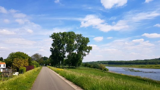 Uikhoven-Grenspaal 110B (BE-NL) (1)