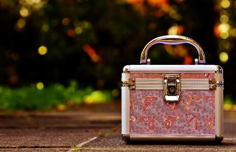 Cute luggage vanity cases