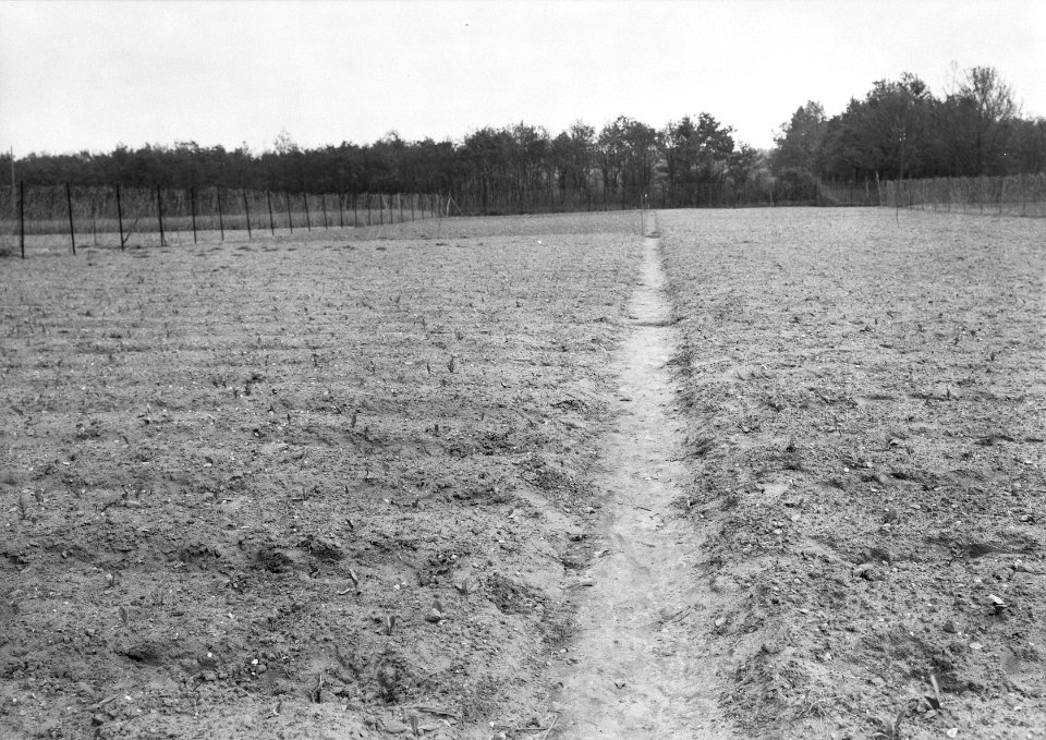 Uitgepoot eind mei, Bestanddeelnr 192-1309