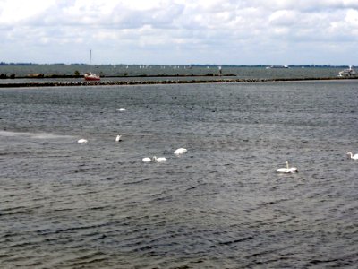 Uitmonding Vecht2 in IJmeer