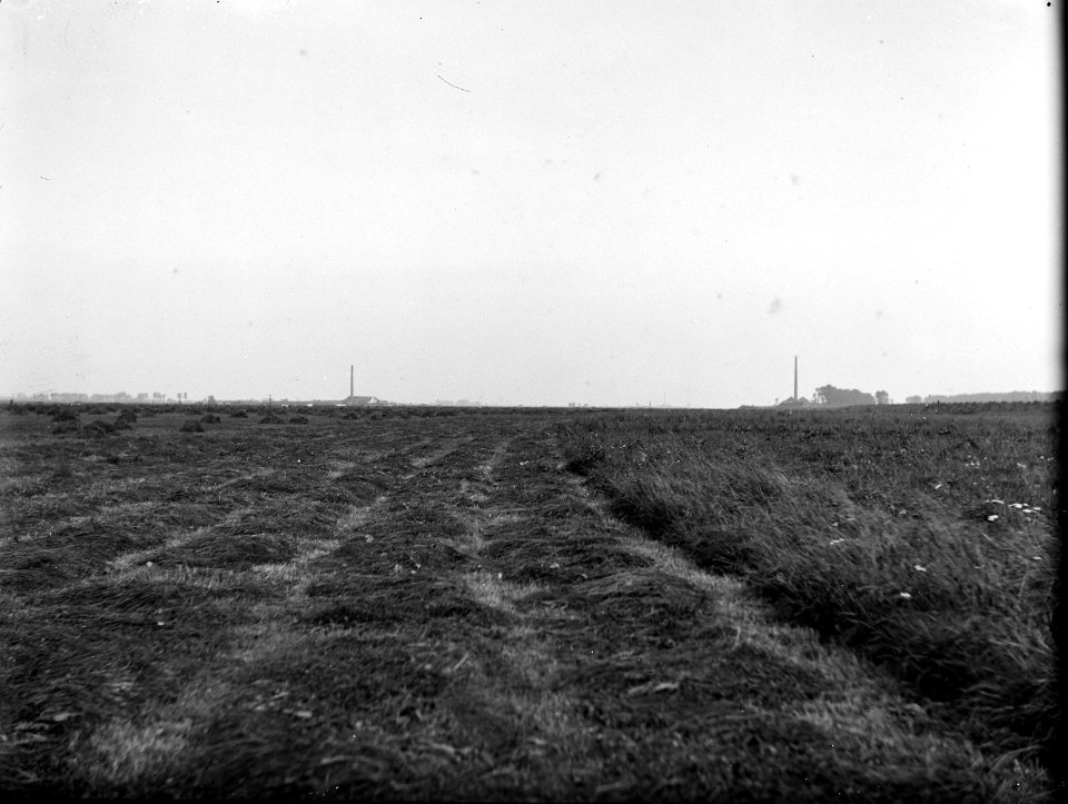 Uiterwaarden, egaliseren, Bestanddeelnr 192-0184
