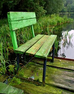 Lake fishing green
