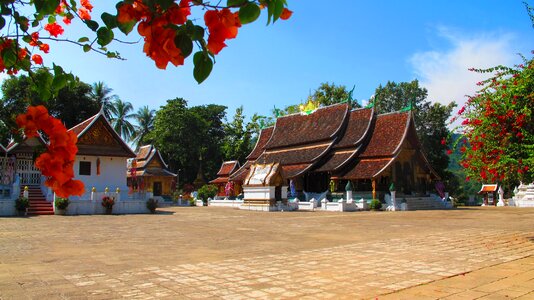 Monastery wat wat chiang thong photo