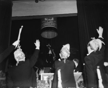 Uitroeping van Prins Carnaval 1948 te Maastricht. Prins Carnaval arriveert in fl, Bestanddeelnr 902-5487