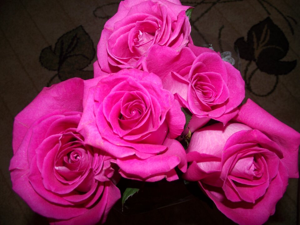 Pink roses bouquet flowers