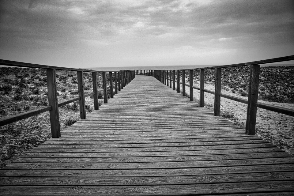 Sea ocean coast