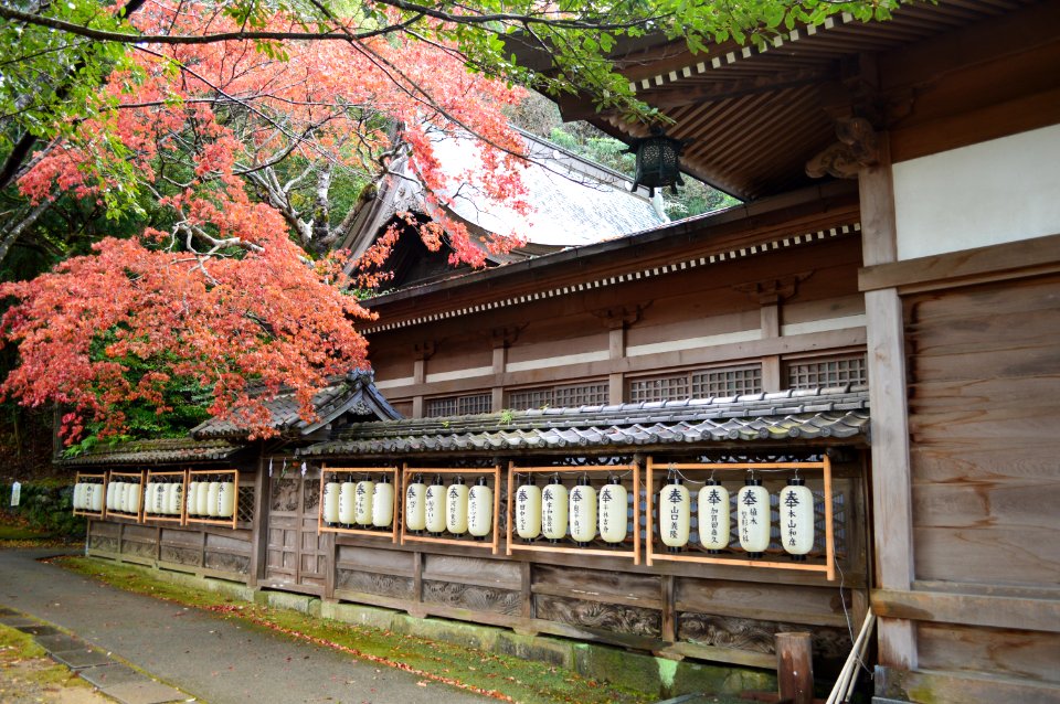 Uwatsuhiko-jinja, honden