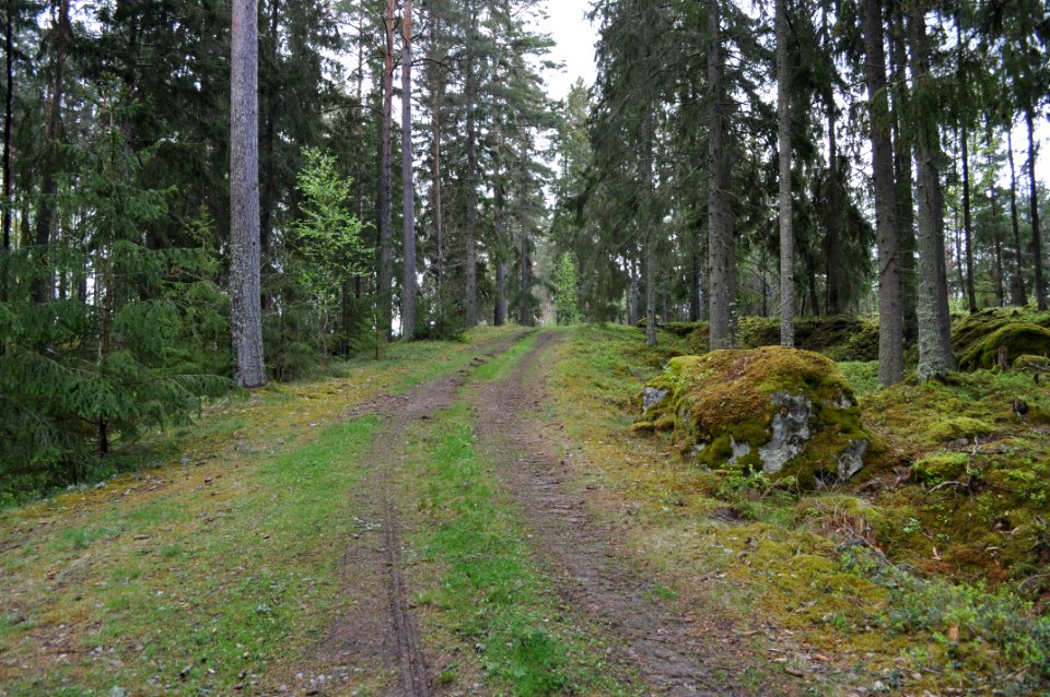 Väg - Brunnstaåsen