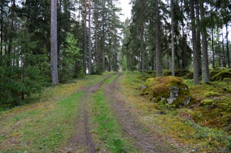Väg - Brunnstaåsen