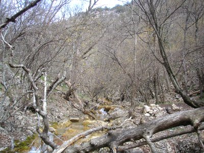 Uzundzha River 34