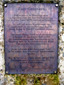 U-Verlagerung Ente Eschenlohe (09)
