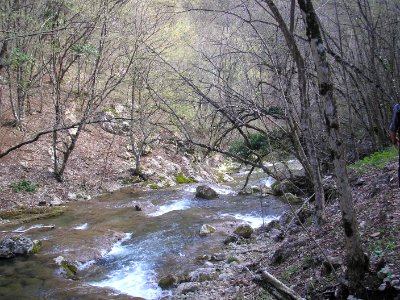 Uzundzha River 46