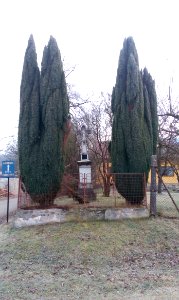 Vážany, kříž u čp. 75 - celkový pohled