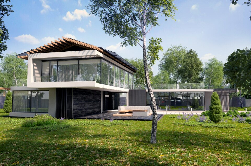 Tree birch house