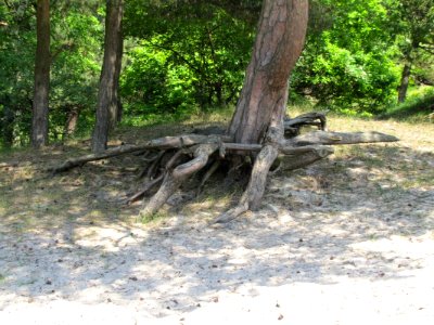 USTKA, AB. 549
