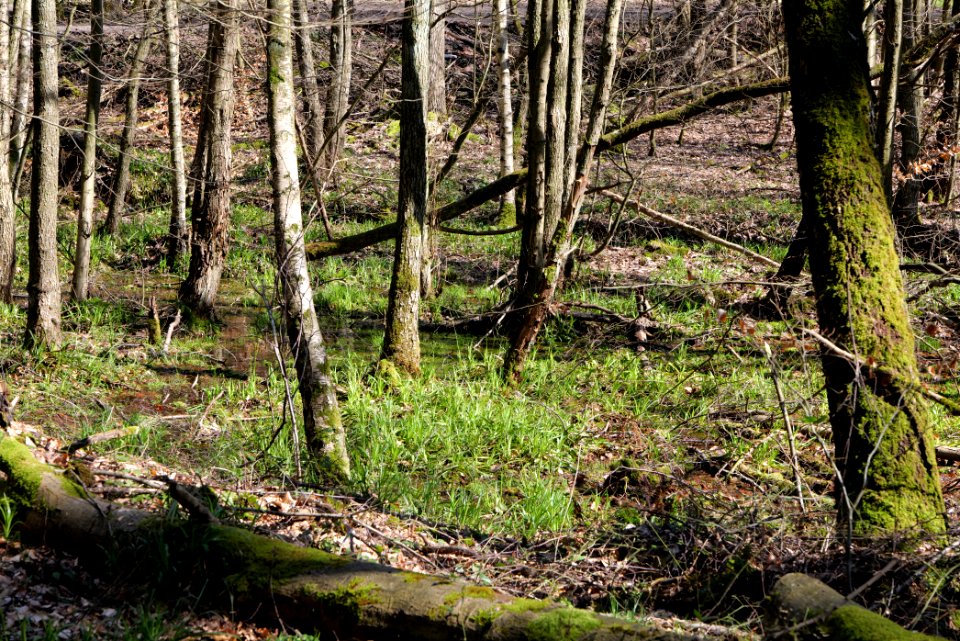 Urselbach Oberursel 2020-03-23 24