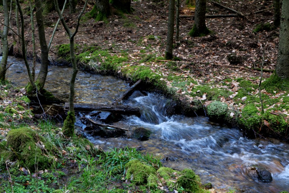 Urselbach Oberursel 2020-03-23 33