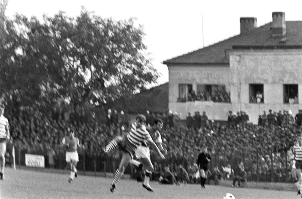 UT Arad tegen Feijenoord 0-0 in Europa Cup in Roemenie supporters juichen, Bestanddeelnr 923-8867