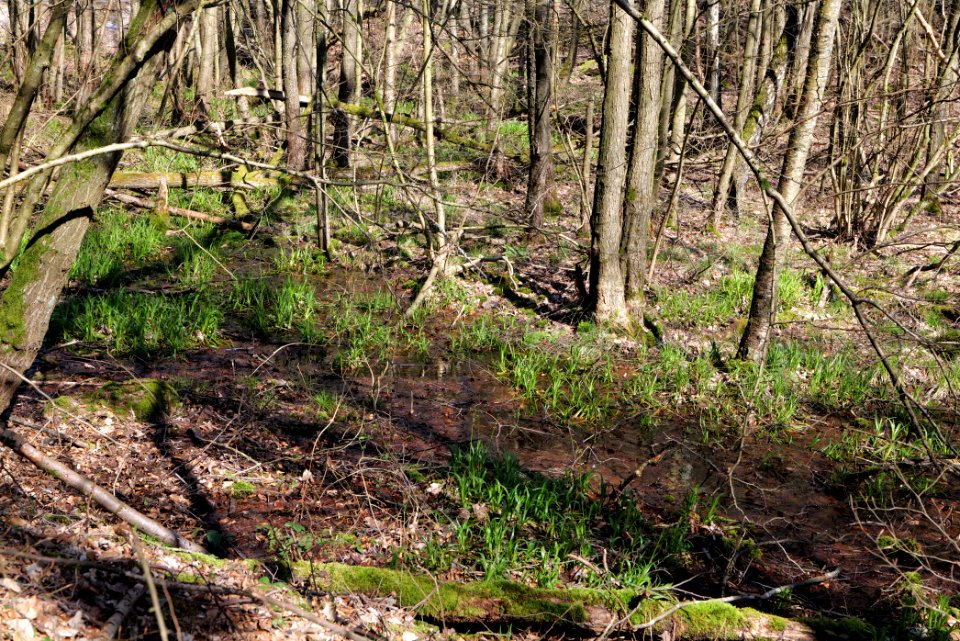 Urselbach Oberursel 2020-03-23 20