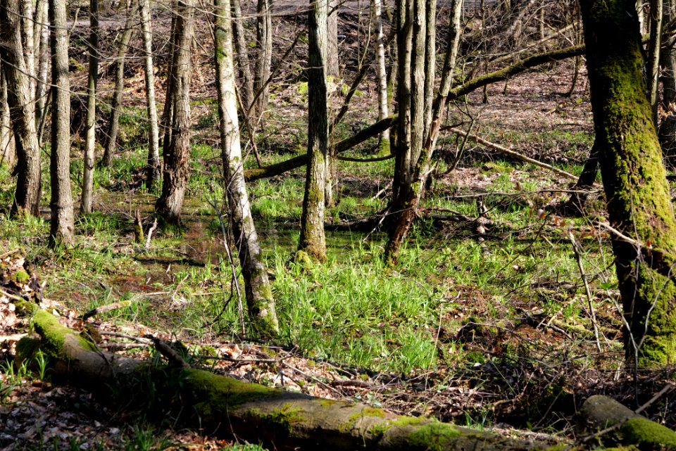 Urselbach Oberursel 2020-03-23 23