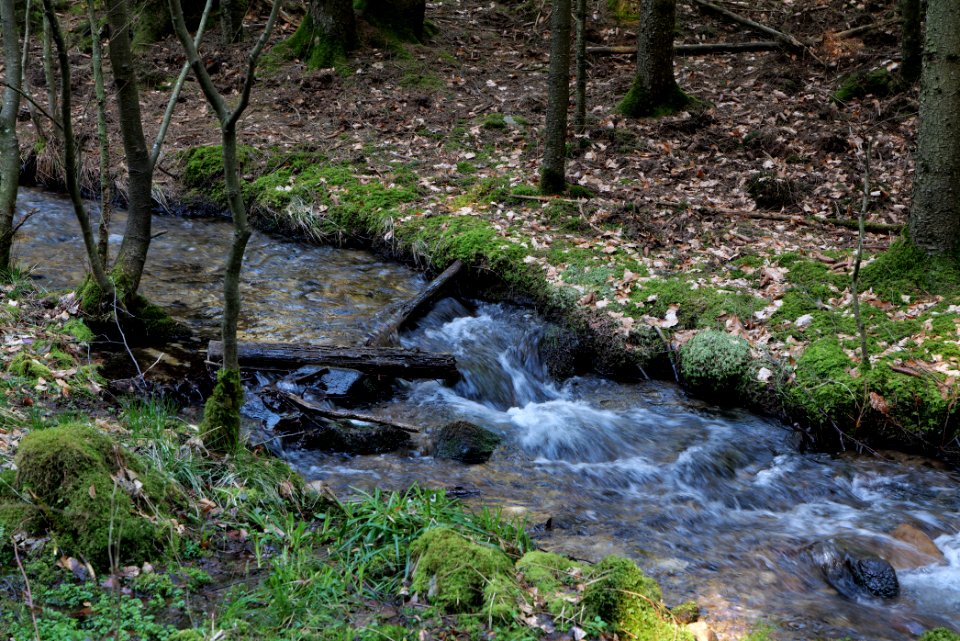 Urselbach Oberursel 2020-03-23 32