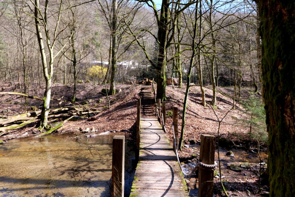 Urselbach Oberursel 2020-03-23 16