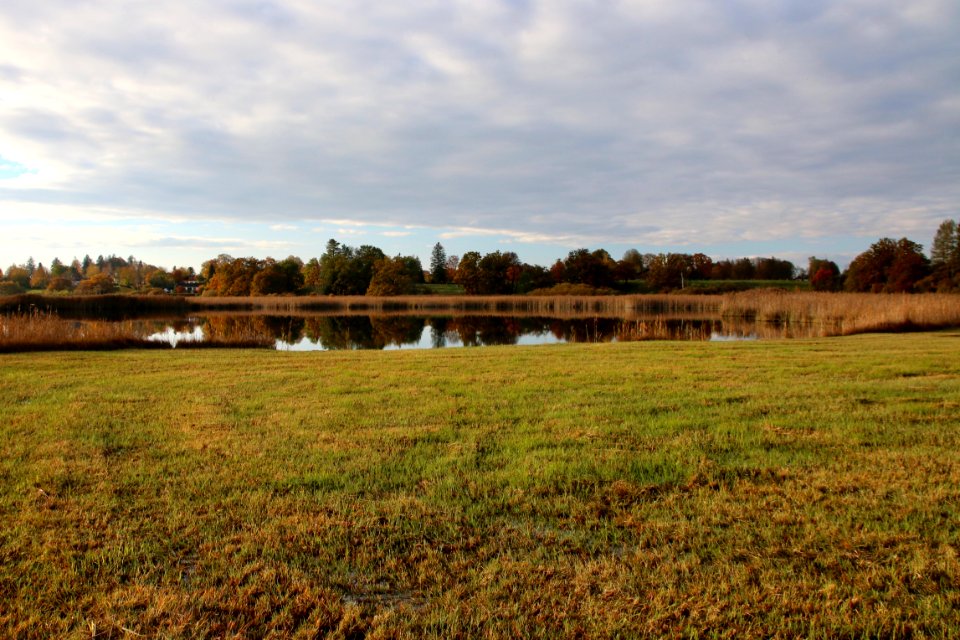 Ursee