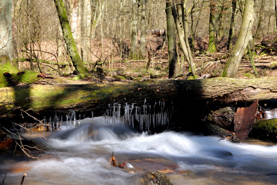 Urselbach Oberursel 2020-03-23 15