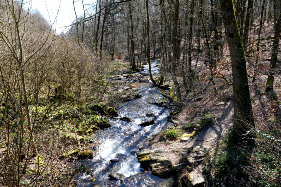 Urselbach Oberursel 2020-03-23 10