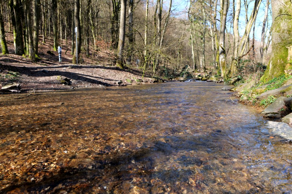 Urselbach Oberursel 2020-03-23 02