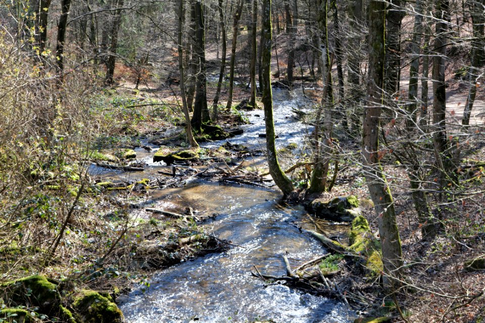 Urselbach Oberursel 2020-03-23 08