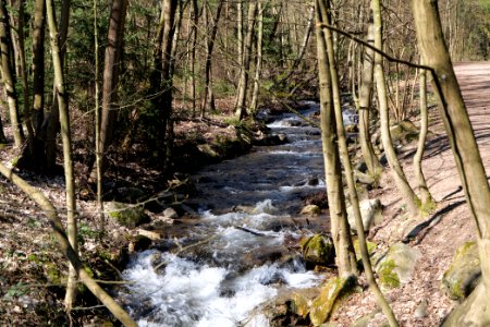 Urselbach Oberursel 2020-03-23 01