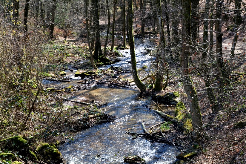 Urselbach Oberursel 2020-03-23 09