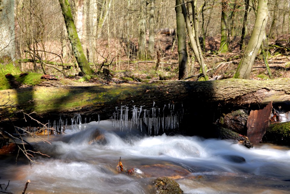 Urselbach Oberursel 2020-03-23 14