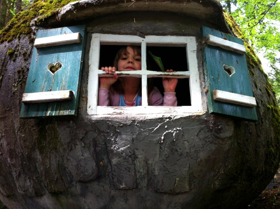 Window fairy tale park forest