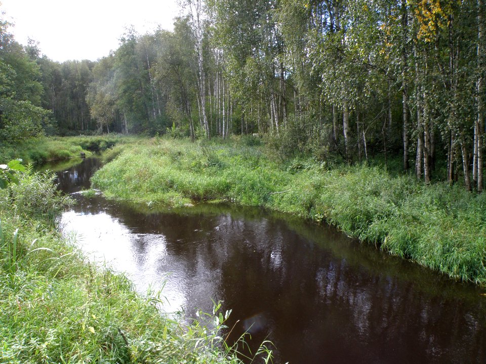 Ushma1