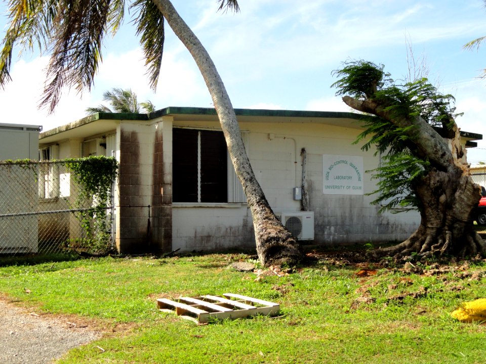 USDA Bio-Control Quarantine Laboratory - University of Guam - DSC01013