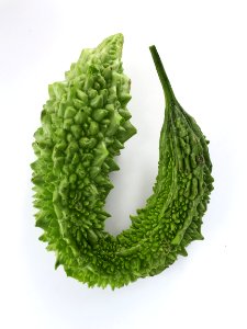 U-shaped karela 2017 A