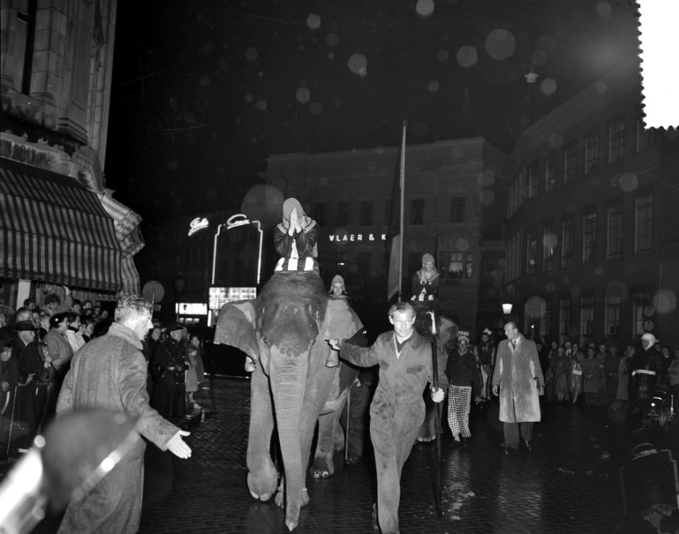 USC-lustrumspel. Olifanten, Bestanddeelnr 907-8722