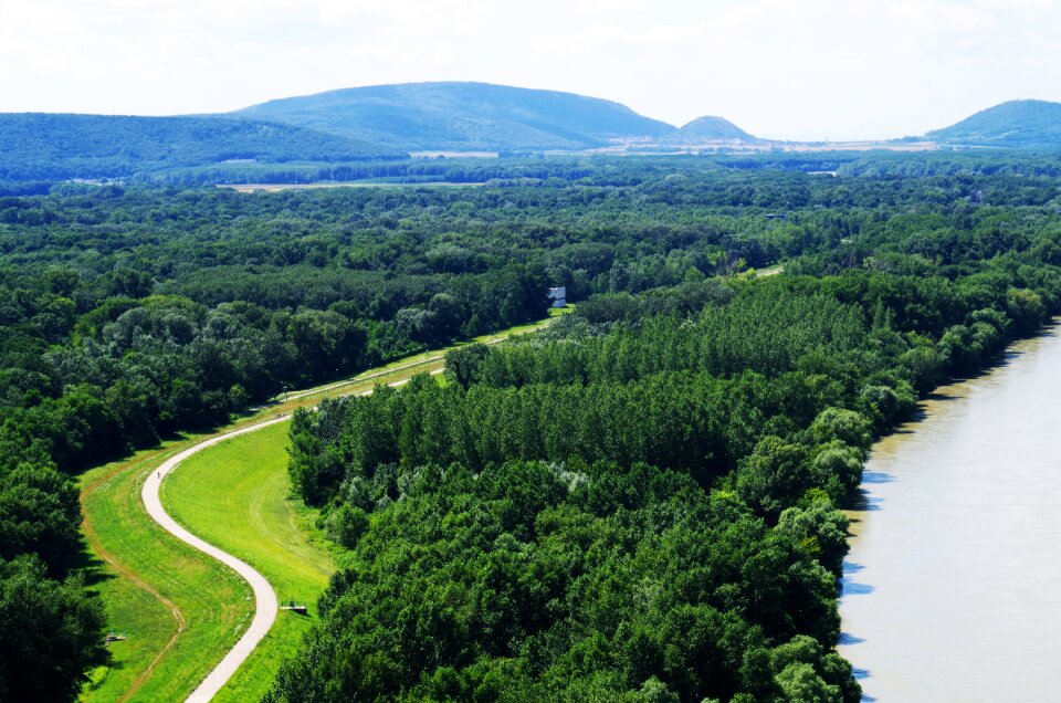 Walkway nature view photo